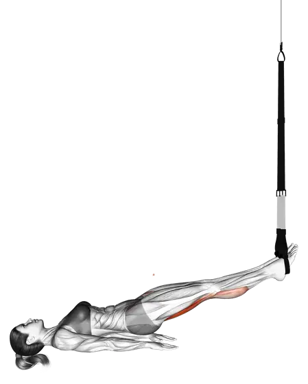 Suspension Leg Curl — movement illustration 1