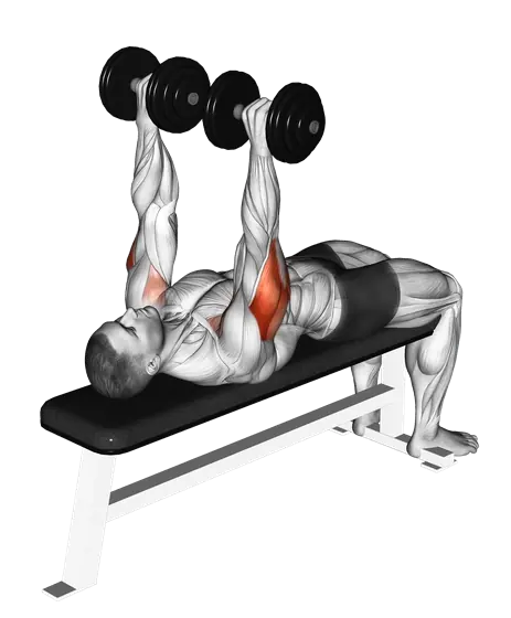 Dumbbell Tate Press — movement illustration 1