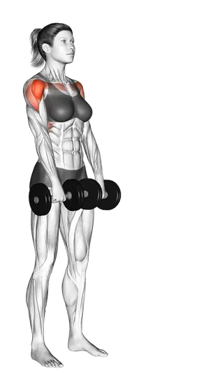 Dumbbell Alternate Front Raise — movement illustration 1