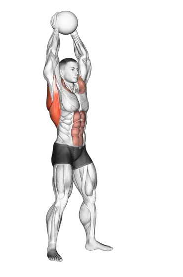 Medicine Ball Overhead Slam — movement illustration 1