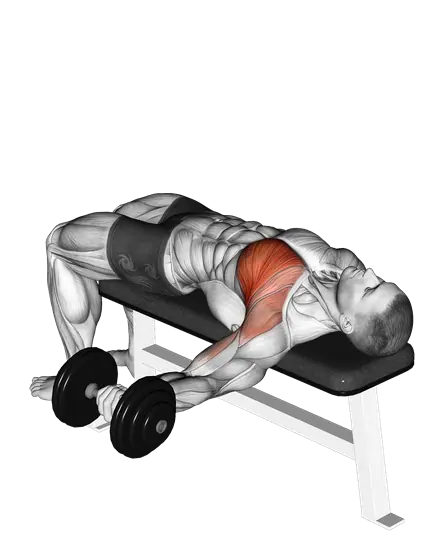 Dumbbell Single-Arm Bench Fly — movement illustration 1