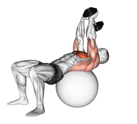 Dumbbell Pullover on Stability Ball — movement illustration 1