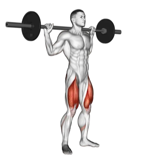 Barbell Speed Squat — movement illustration 1