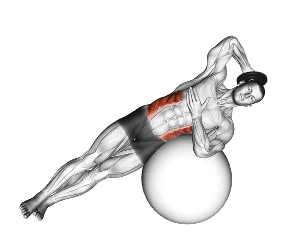 Weighted Side Bend (On Stability Ball) — movement illustration 1