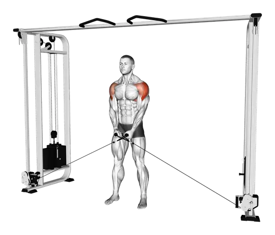 Cable Lateral Raise — movement illustration 1