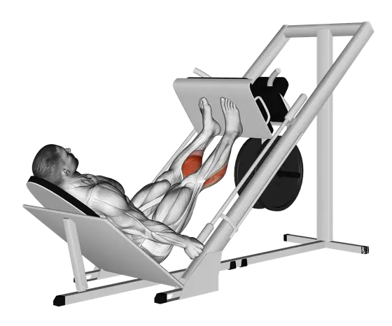 Sled 45-Degree Calf Press — movement illustration 1