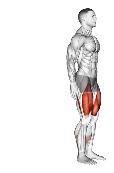 Reverse Lunge — movement illustration 1