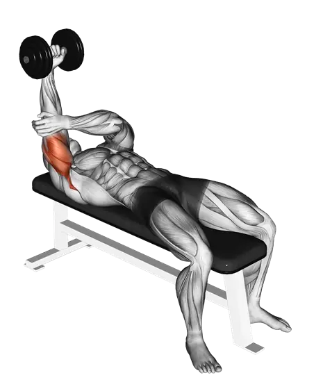Dumbbell Lying Single-Arm Pronated Triceps Extension — movement illustration 1