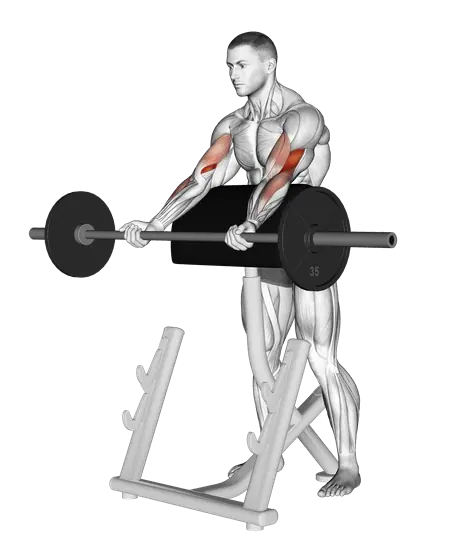 Barbell Spider Curl — movement illustration 1