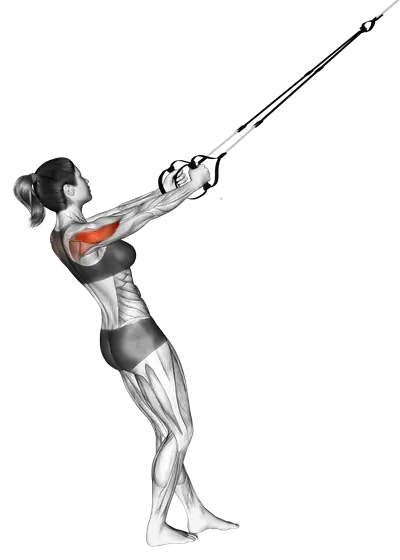 Suspension Reverse Fly — movement illustration 1