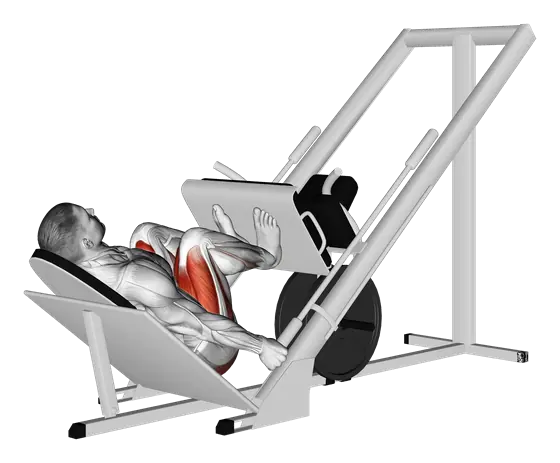 Sled 45-Degree Narrow Stance Leg Press — movement illustration 1