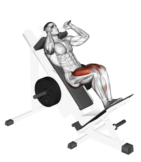 Sled Closer Hack Squat — movement illustration 1