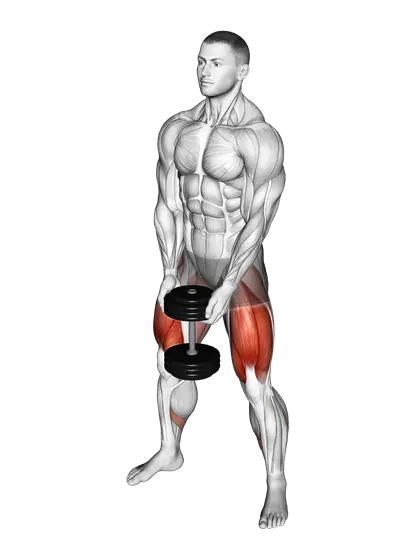 Dumbbell Sumo Squat — movement illustration 1