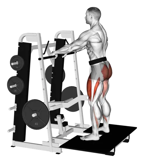 Machine Belt Squat — movement illustration 1