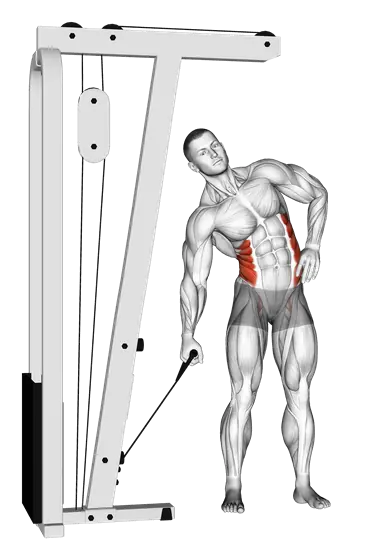 Cable Side Bend — movement illustration 1