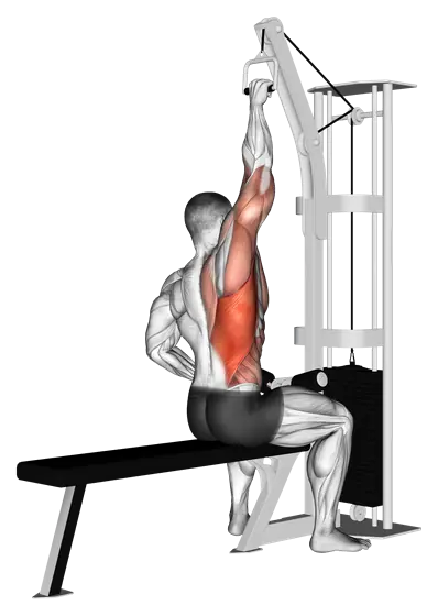 Cable Single-Arm Lat Pulldown — movement illustration 1