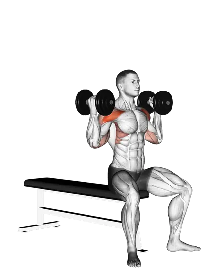 Dumbbell Arnold Press — movement illustration 1