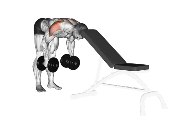 Dumbbell Rear Lateral Raise (Support Head) — movement illustration 1