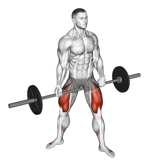 Barbell Jefferson Squat — movement illustration 1