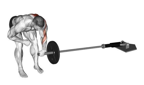 Landmine Single-Arm Bent-Over Row — movement illustration 1
