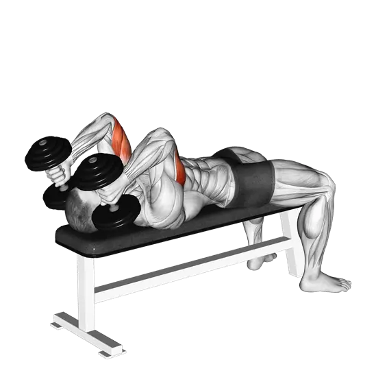 Dumbbell Lying Triceps Extension — movement illustration 1