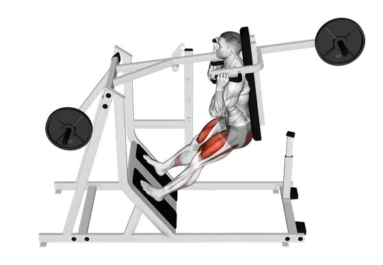 Plate-Loaded Pendulum Squat — movement illustration 1