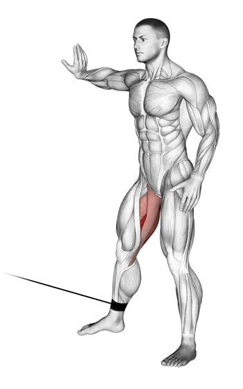 Cable Hip Adduction — movement illustration 1