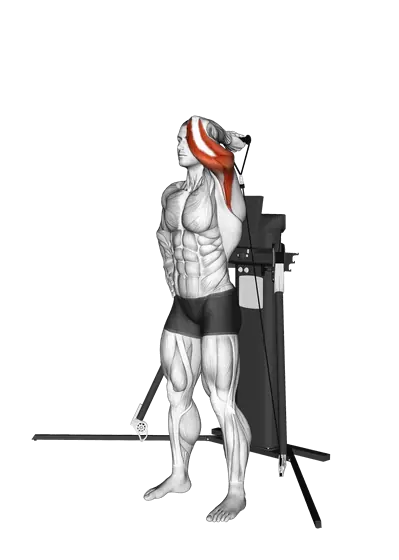 Cable Standing Single-Arm Overhead Triceps Extension — movement illustration 1