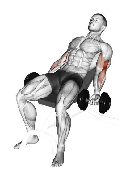 Dumbbell Incline Curl — movement illustration 1