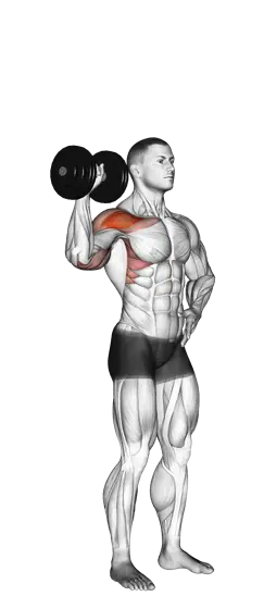 Dumbbell Single-Arm Shoulder Press — movement illustration 1