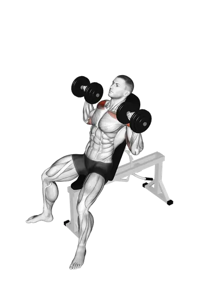 Dumbbell Incline Shoulder Press — movement illustration 1
