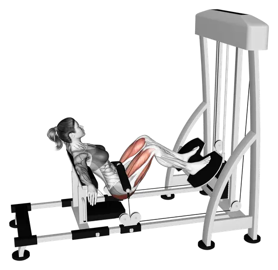 Machine Hip Thrust — movement illustration 1