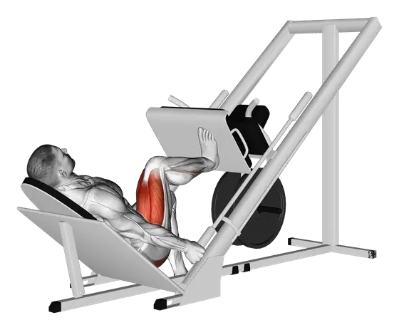 Sled 45-Degree Single-Leg Press — movement illustration 1