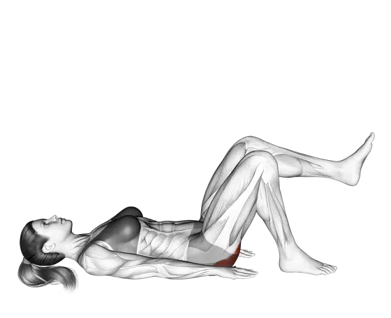 Glute Bridge Single-Leg on Floor (Bent Knee) — movement illustration 1