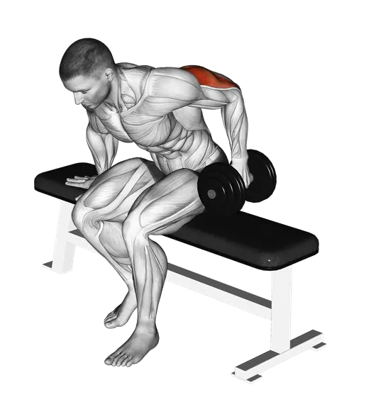 Dumbbell Seated Single-Arm Kickback — movement illustration 1