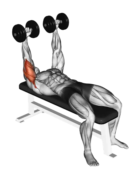 Dumbbell Lying Extension (Across Face) — movement illustration 1