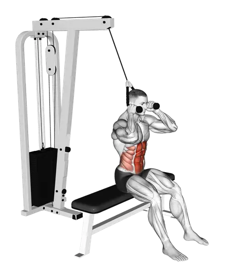 Cable Seated Crunch — movement illustration 1