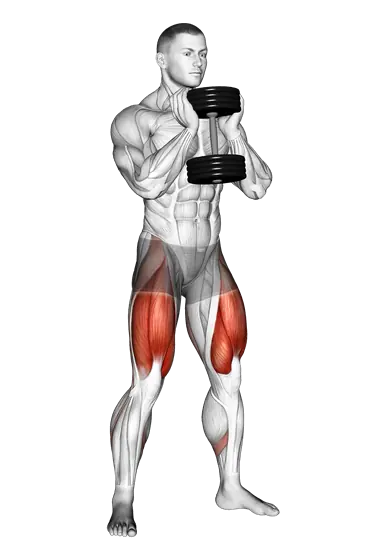 Dumbbell Goblet Squat — movement illustration 1