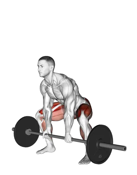 Barbell Sumo Deadlift — movement illustration 1
