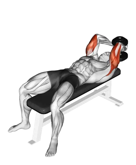 Dumbbell Lying Single Extension — movement illustration 1