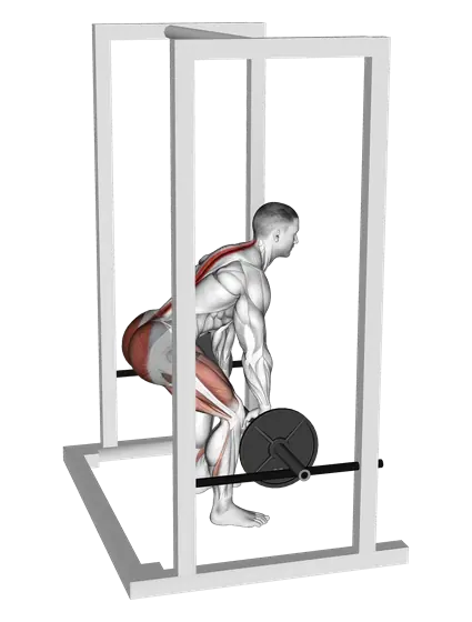 Barbell Rack Pull — movement illustration 1