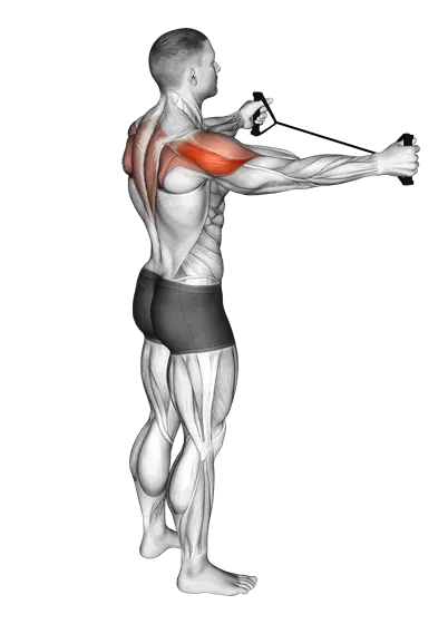 Resistance Band Pull Apart — movement illustration 1