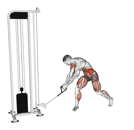 Cable Reverse Woodchop — movement illustration 1