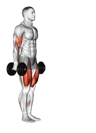 Dumbbell Lunge with Biceps Curl — movement illustration 1