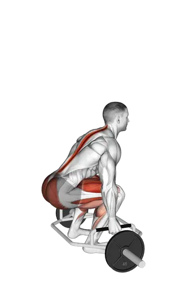 Trap Bar Deadlift — movement illustration 1