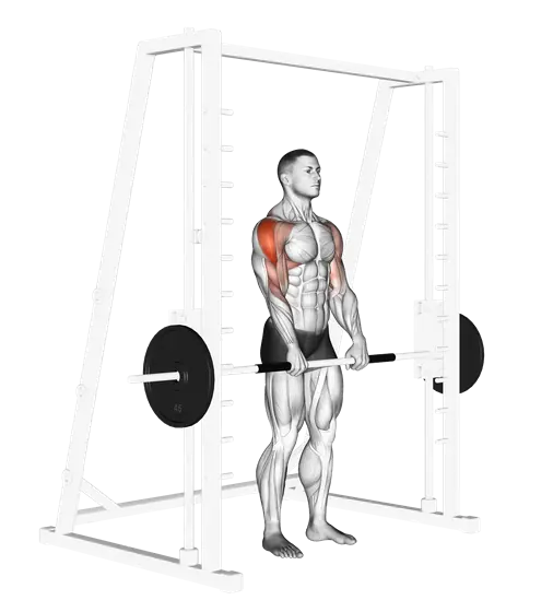 Smith Upright Row — movement illustration 1