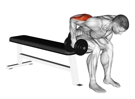 Dumbbell Seated Bent-Over Triceps Extension — movement illustration 1