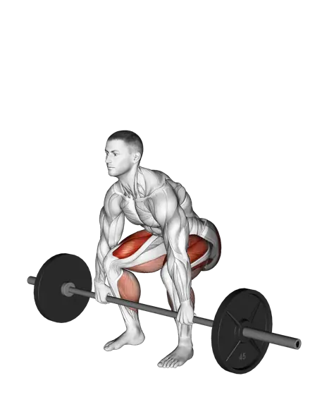 Barbell Deadlift — movement illustration 1
