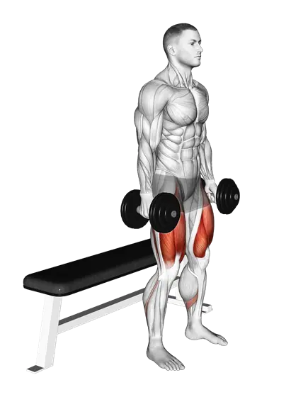 Dumbbell Bench Squat — movement illustration 1