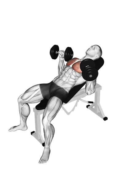 Dumbbell Incline Bench Press — movement illustration 1